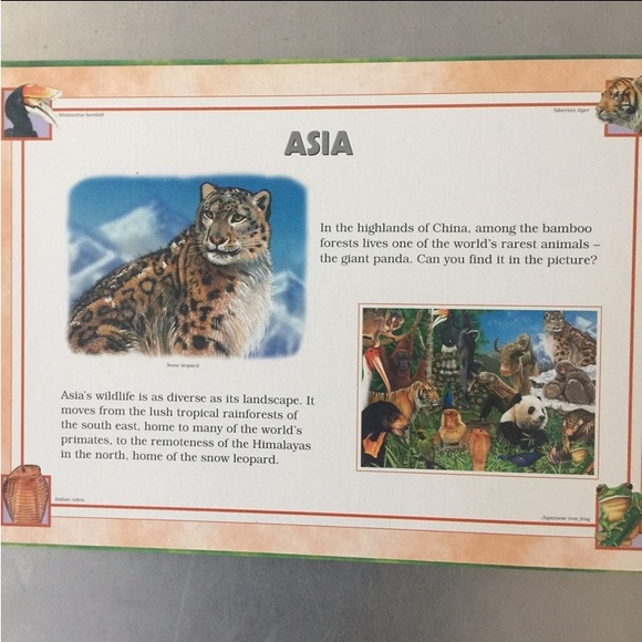 ⭐️Animals of the World⭐️puzzle - Picture 5 of 8